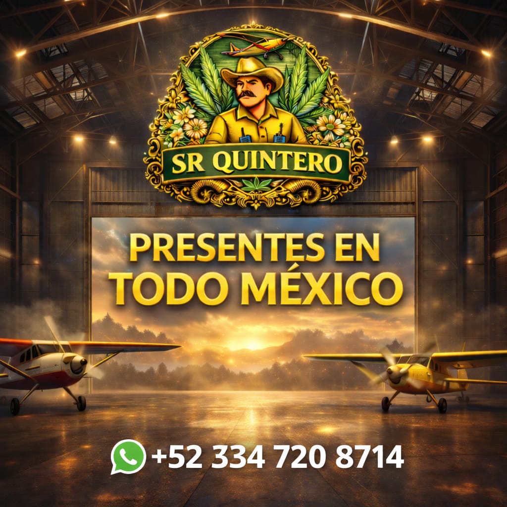 Sr Quintero tweet media