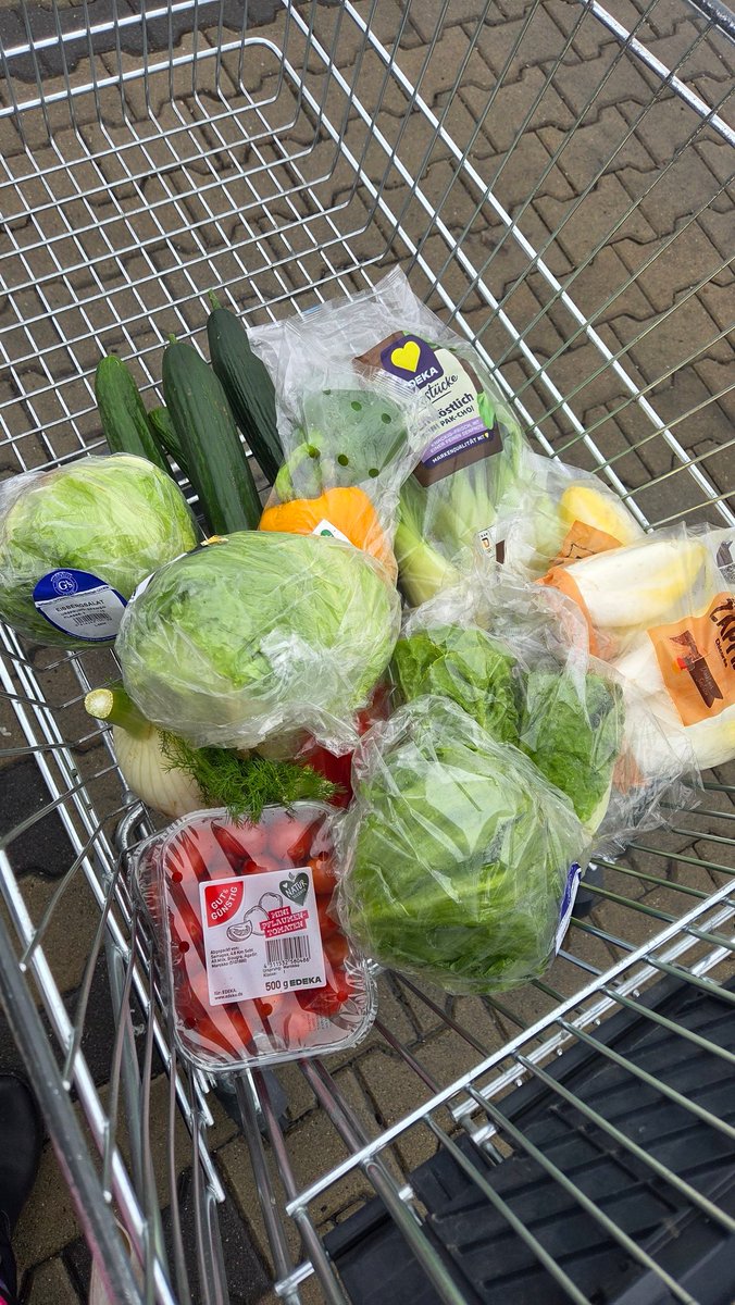 Ranni #TeamDragonBug 🐞🐉 tweet media