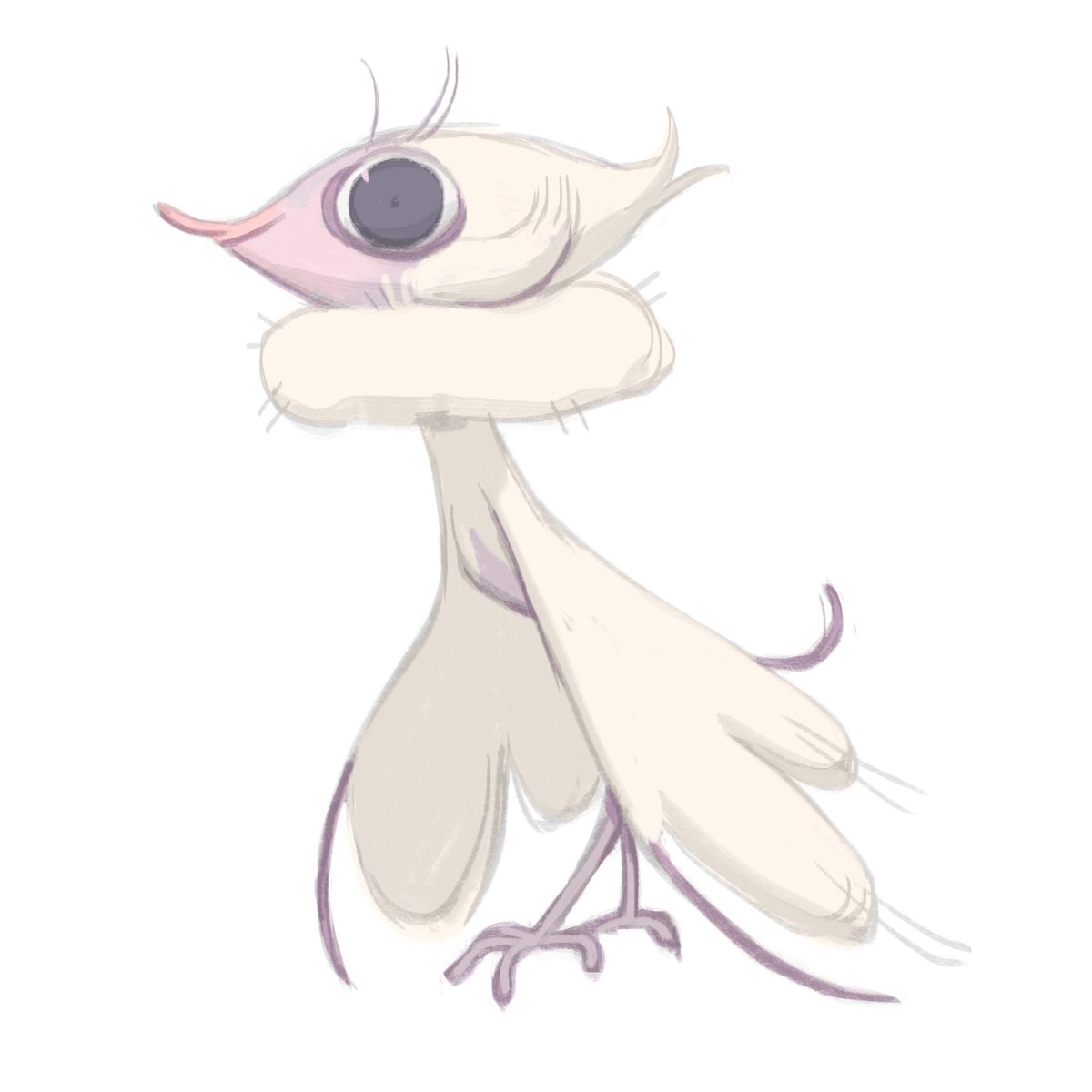 fluttering things 🦋