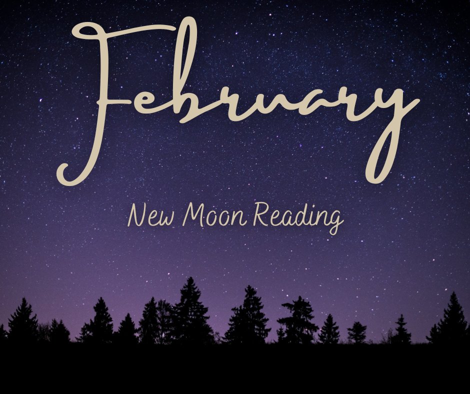 Leona Hass tweet media