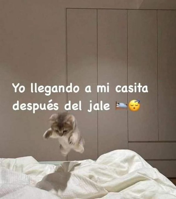 Javisness's tweet photo. https://t.co/1zU0UHixev