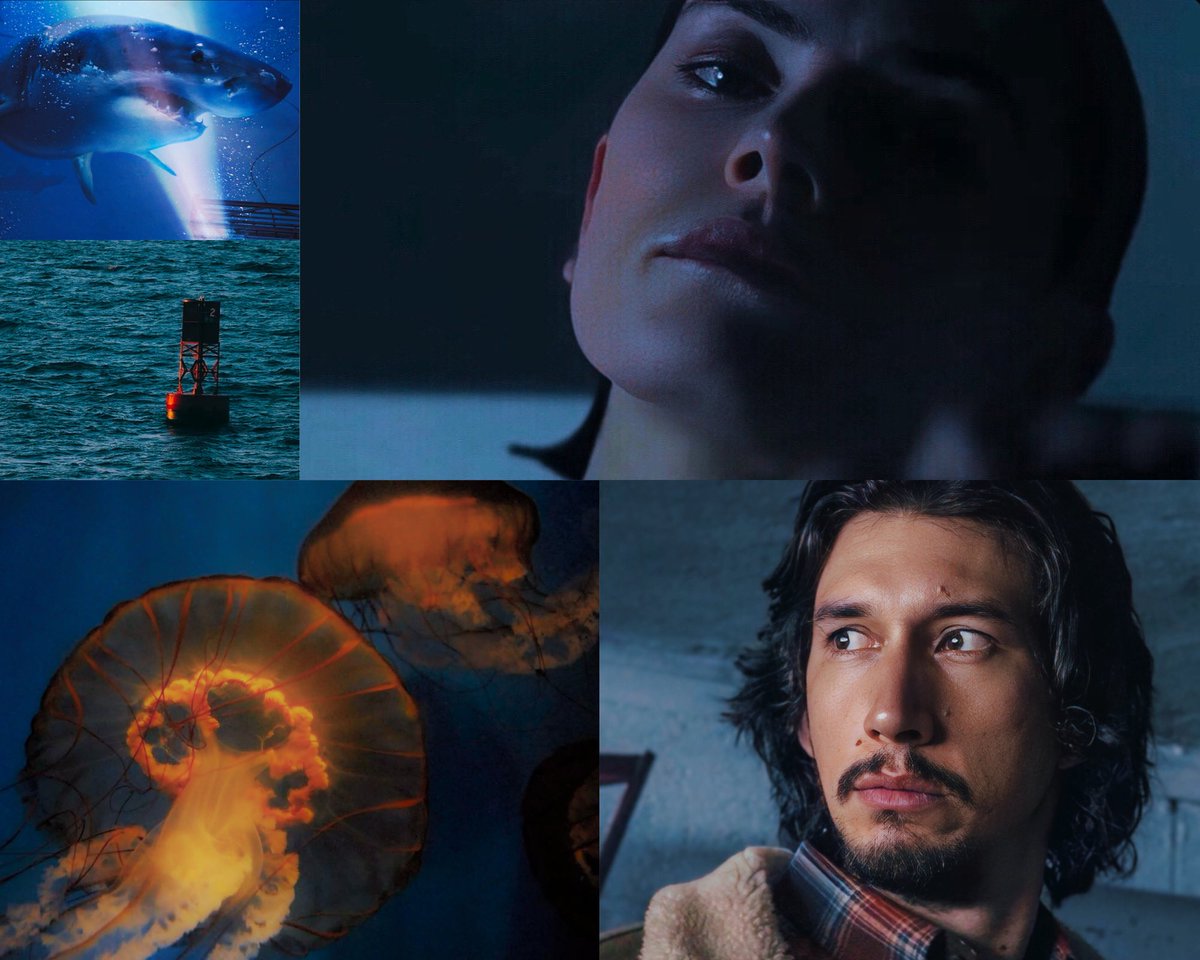 🦋Break Of Dawn🦋 tweet media