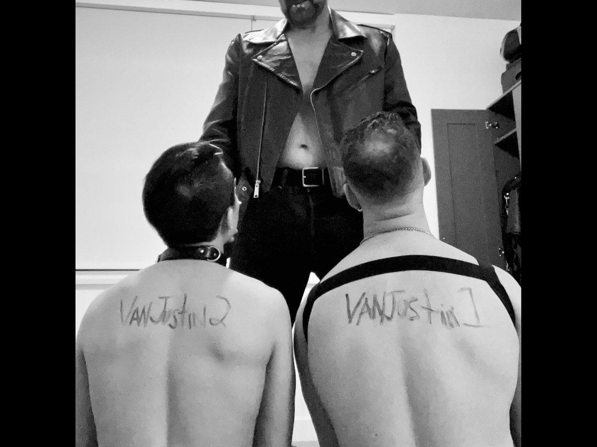 VanJustin tweet media