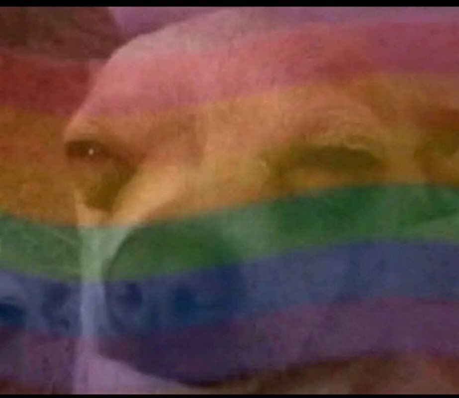 Goodnight champions 
We move tomorrow morning 
I followed everyone back today