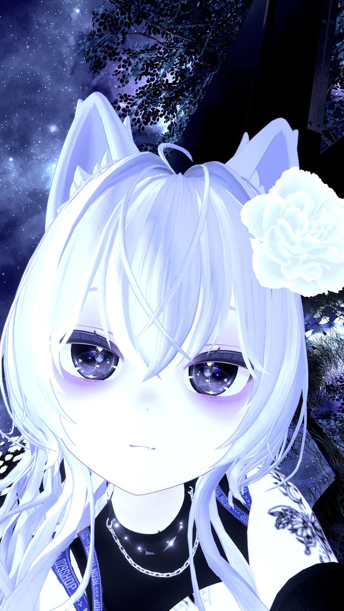 _masa_0114's tweet photo. 久々のおはよ！
また写真何枚か撮ったから無くなるまでツイ
#VRC #VRChat #Lime3D https://t.co/ZDGp6Zeb6K