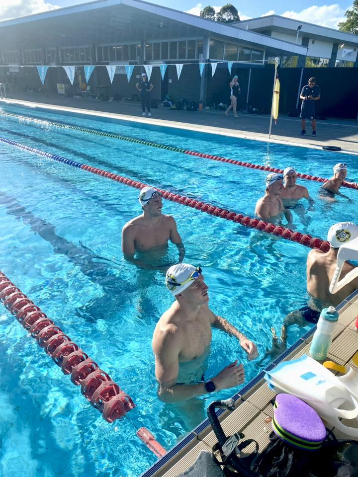 Australian Dolphins Swim Team tweet media