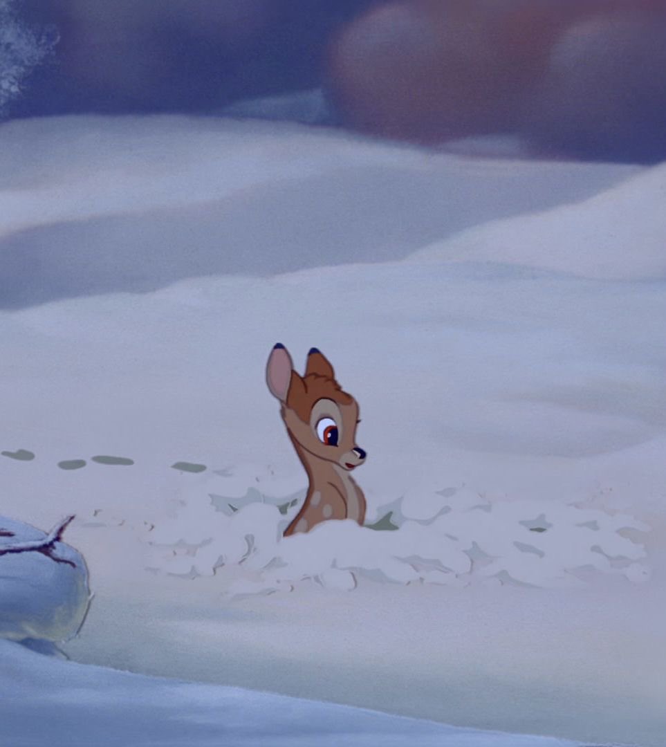 rach 𖧧 tweet media