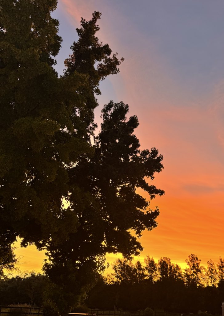 Decime si con este atardecer pintado por Dios no está para escuchar #MeEnamoreDeTi ? ❤️✨ youtu.be/t5gIVwnWJkE?si…