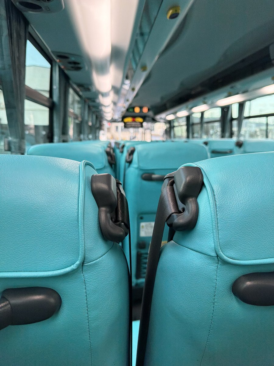 嫌いな３点式シートベルトだった……😓