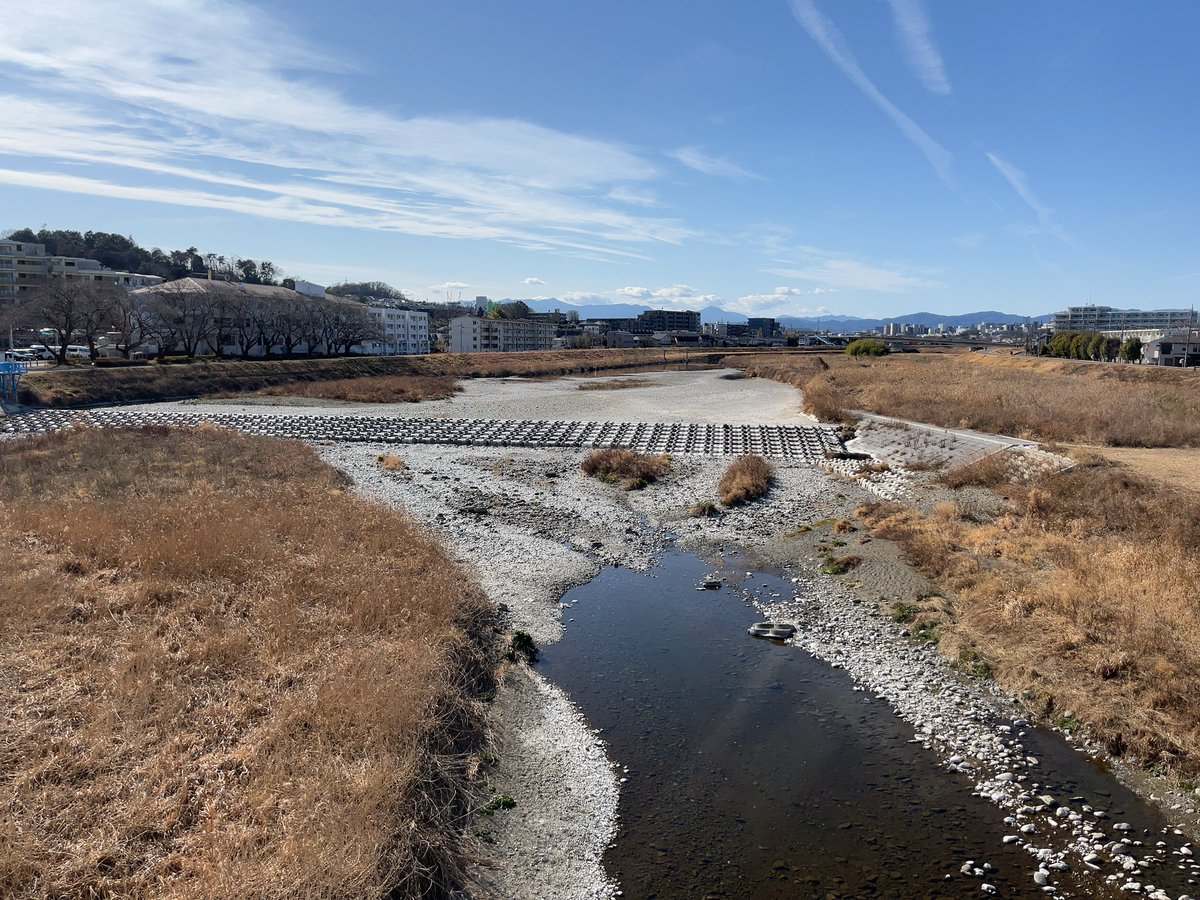 報道で話題の「水の無い浅川」
名が示す通り、冬の終わりには毎年のように瀬切れを起こす。
向島用水堰の上には水が無いけれど、伏流水が堰の下流から湧き出して再び流れ出す。
〔日野市〕