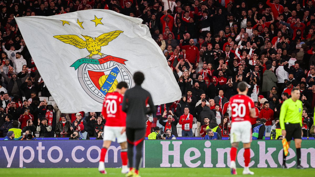 SL Benfica tweet media