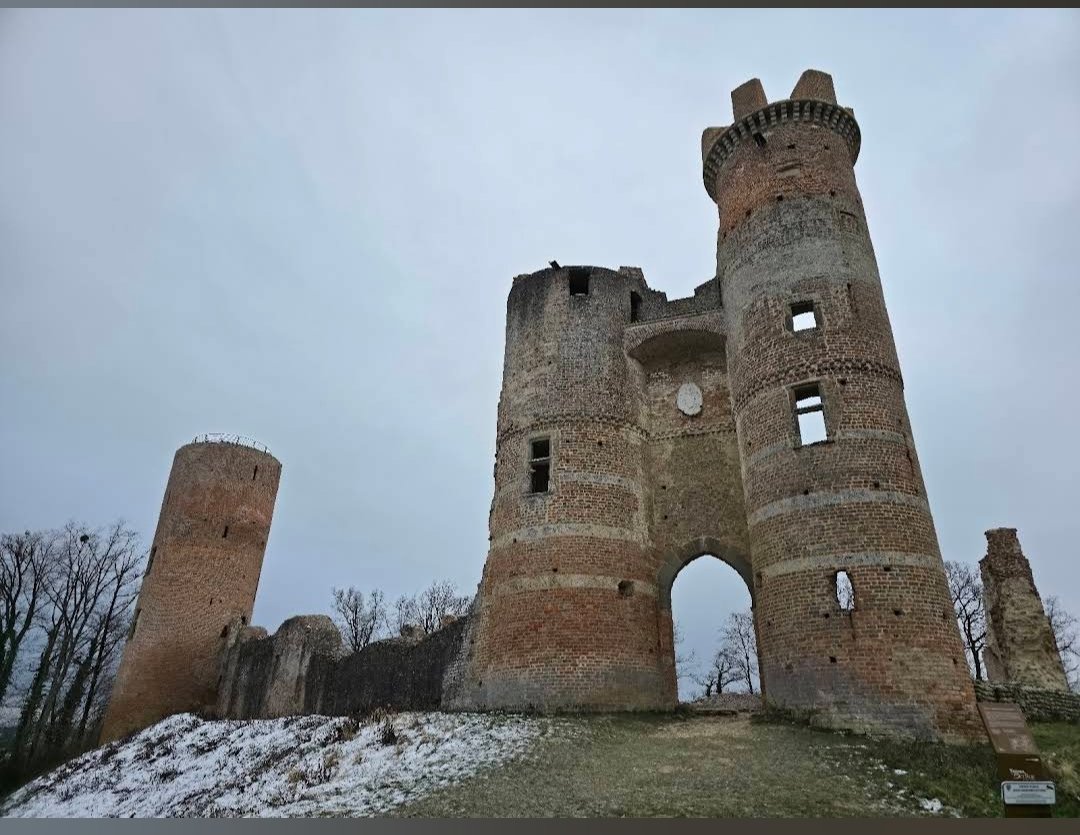 Nicolas T tweet media