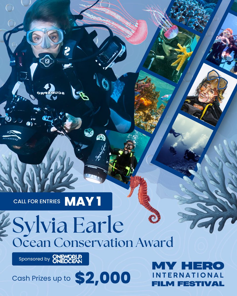 The MY HERO Project tweet media