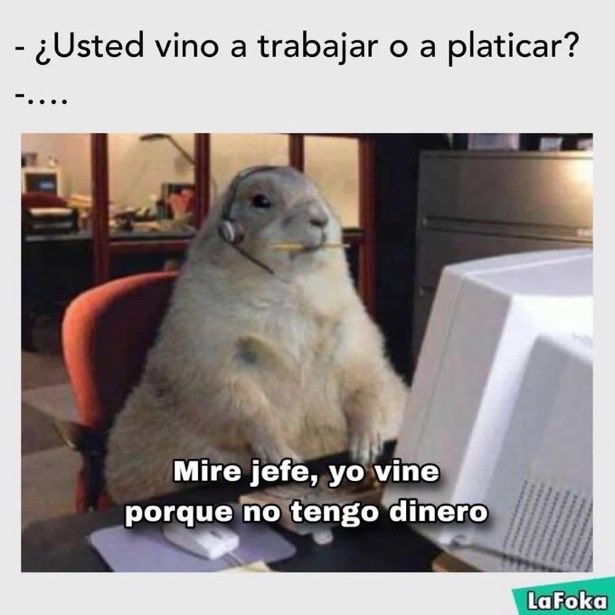 Fabiolacarolina (@fabiolacar49087) on Twitter photo 