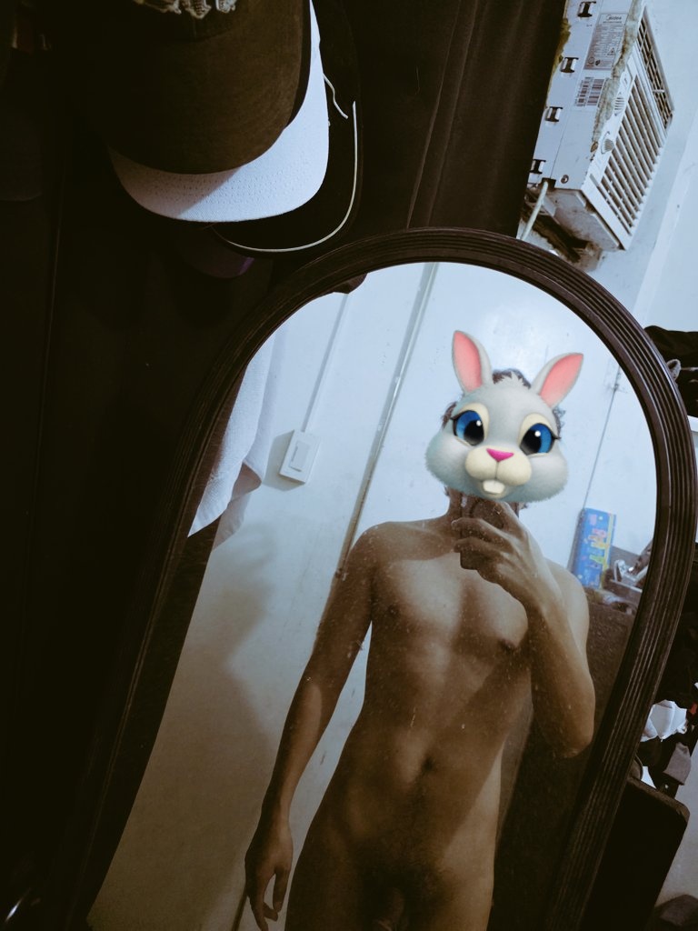 B U N N Y ⚜️ tweet media