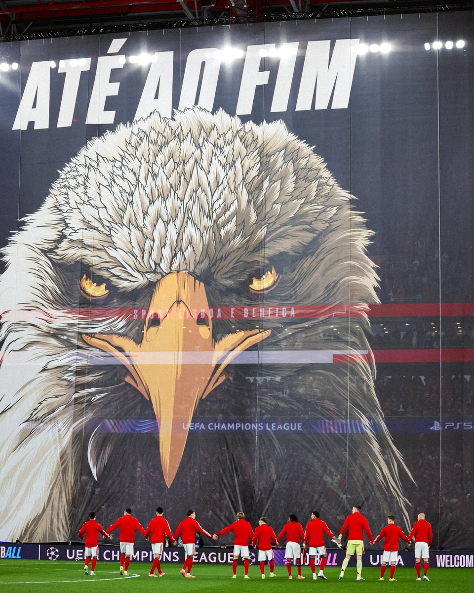 SL Benfica tweet media