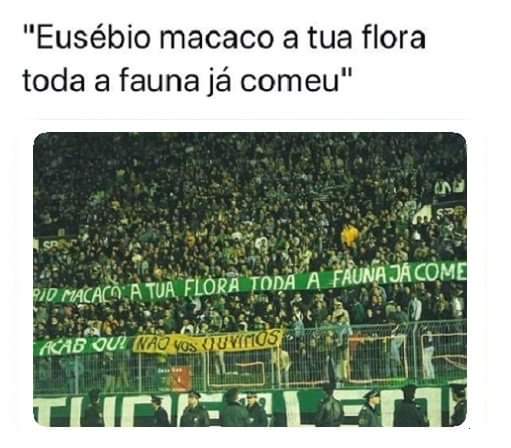 avpimenta's tweet photo. @rodroquette https://t.co/7XmT4T1JOE