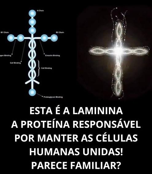 Não há mulher tão relevante nesse momento no Brasil quanto Tatiana Sampaio 

Ela está abrindo uma porta que a medicina sempre tratou como impossível: a reversão da tetraplegia.

Se isso se confirmar, não será apenas progresso. Será uma ruptura. Um daqueles raros momentos em que a