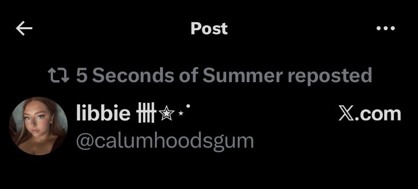 libbie 卌✮⋆˙ tweet media