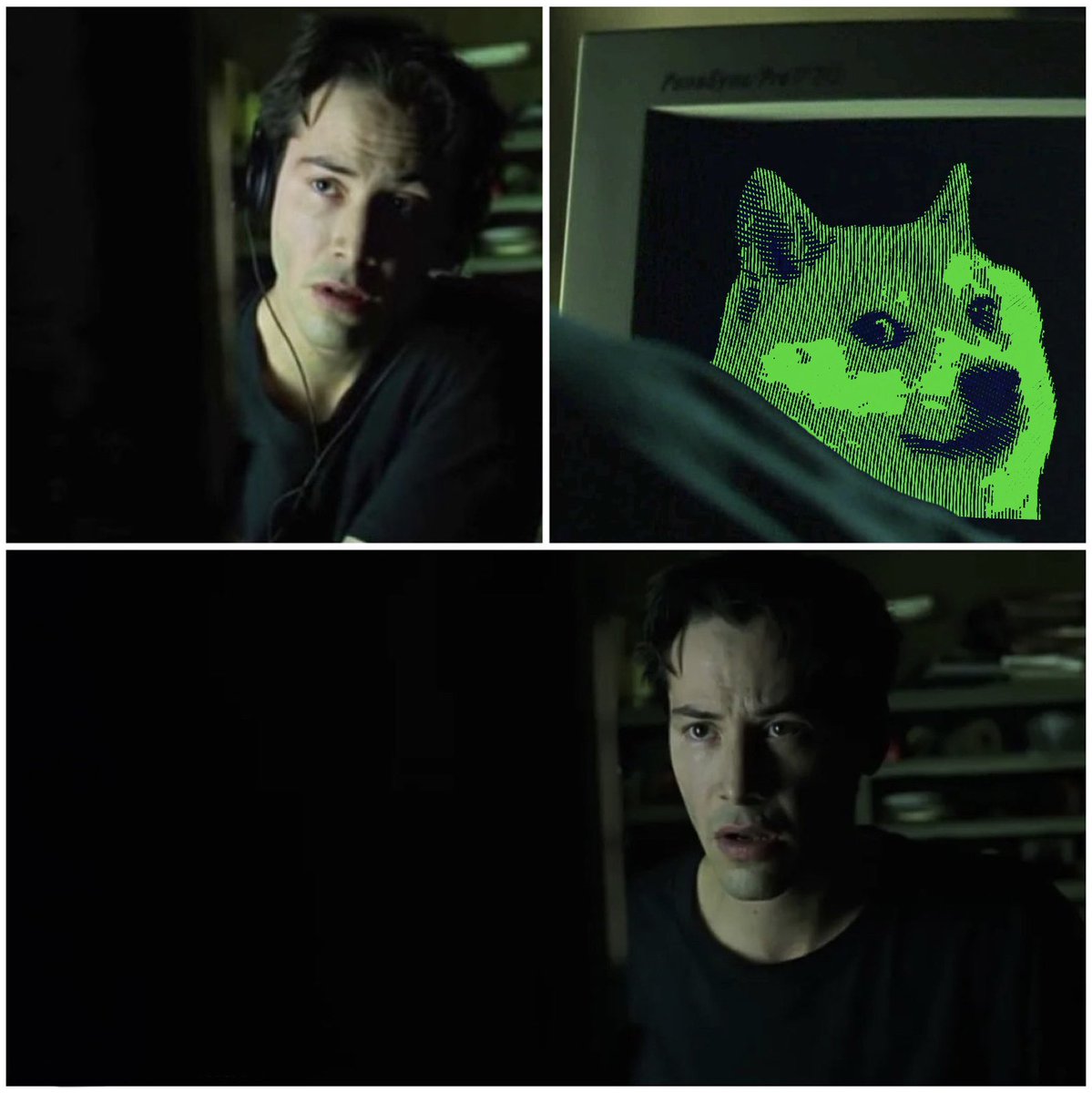 MichaelSB tweet media