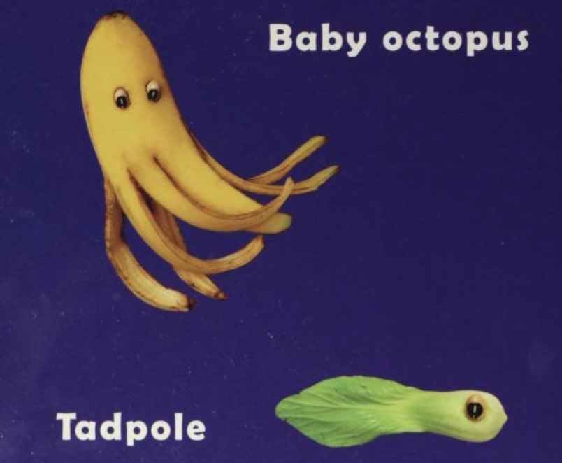 choose your character