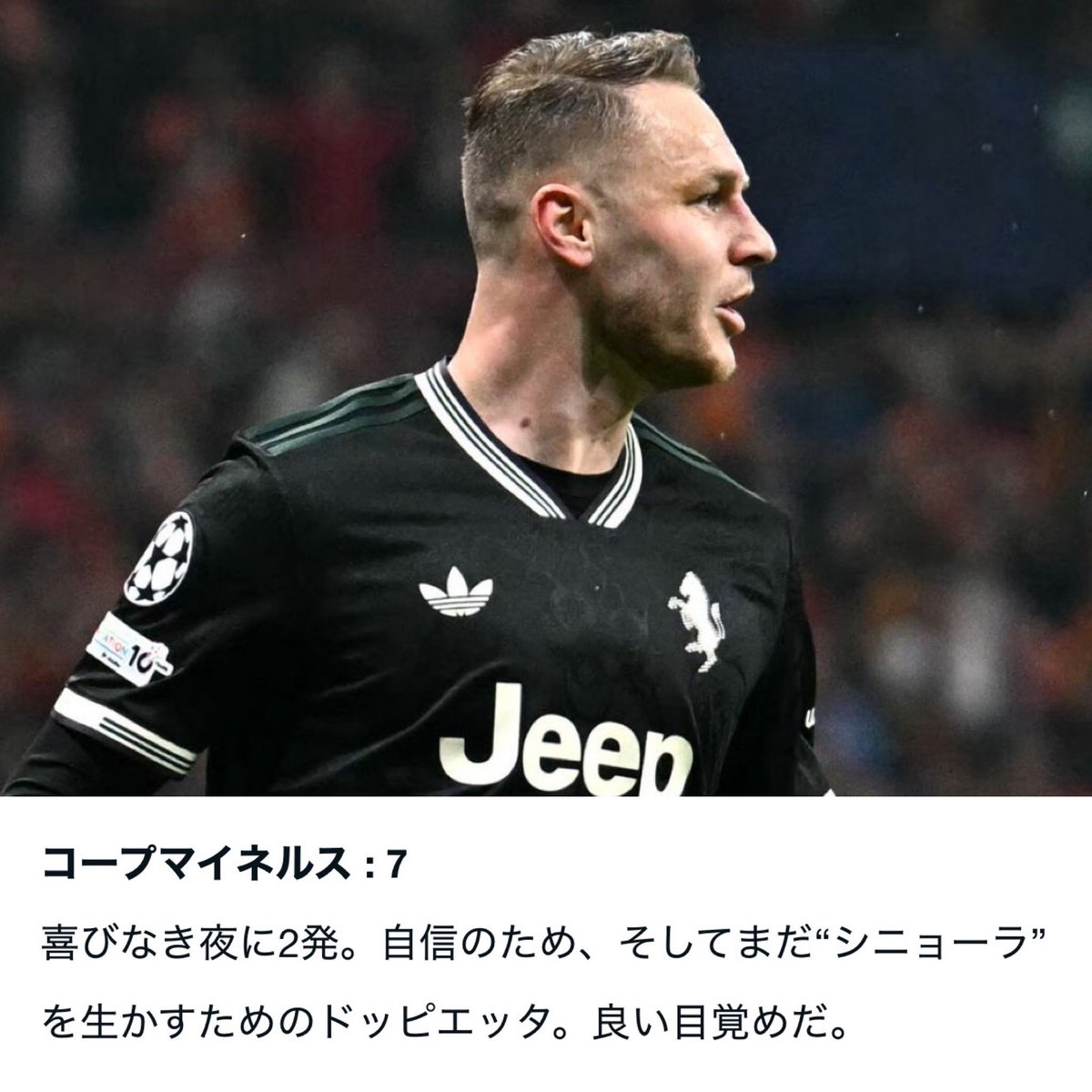 コープマイネルス GdS寸評