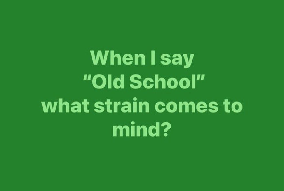 Stoner Barbie tweet media