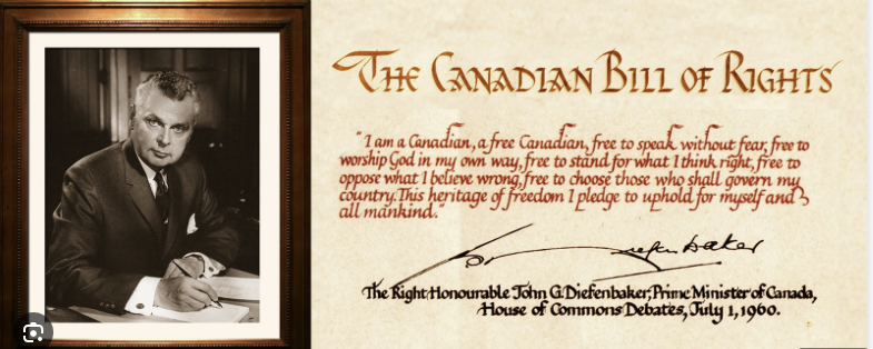 Ross McLean tweet media