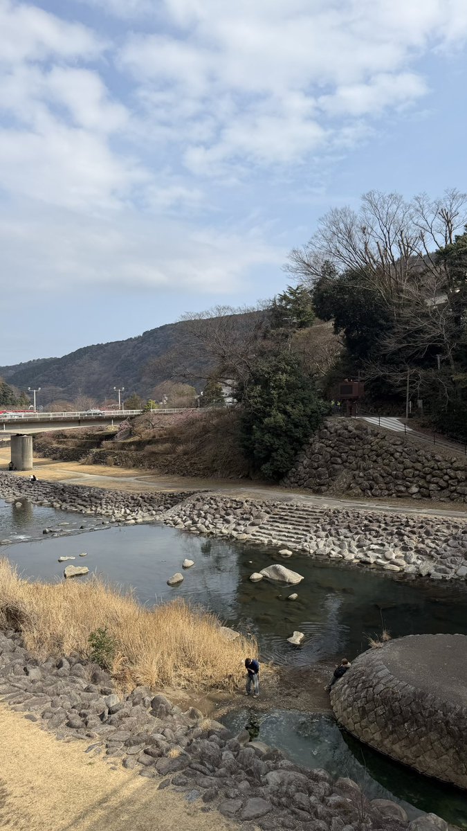 ミオ tweet media