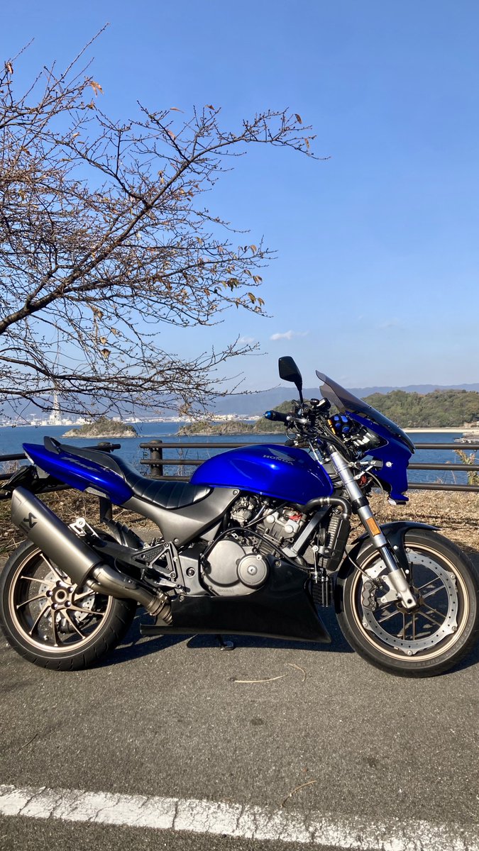 ほねカズ (@proarmhornet) / Posts / X