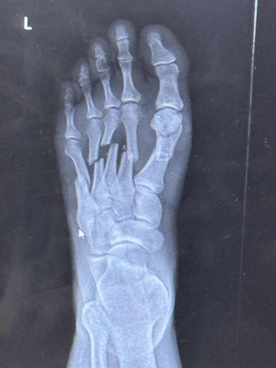 grokpronoia tweet media