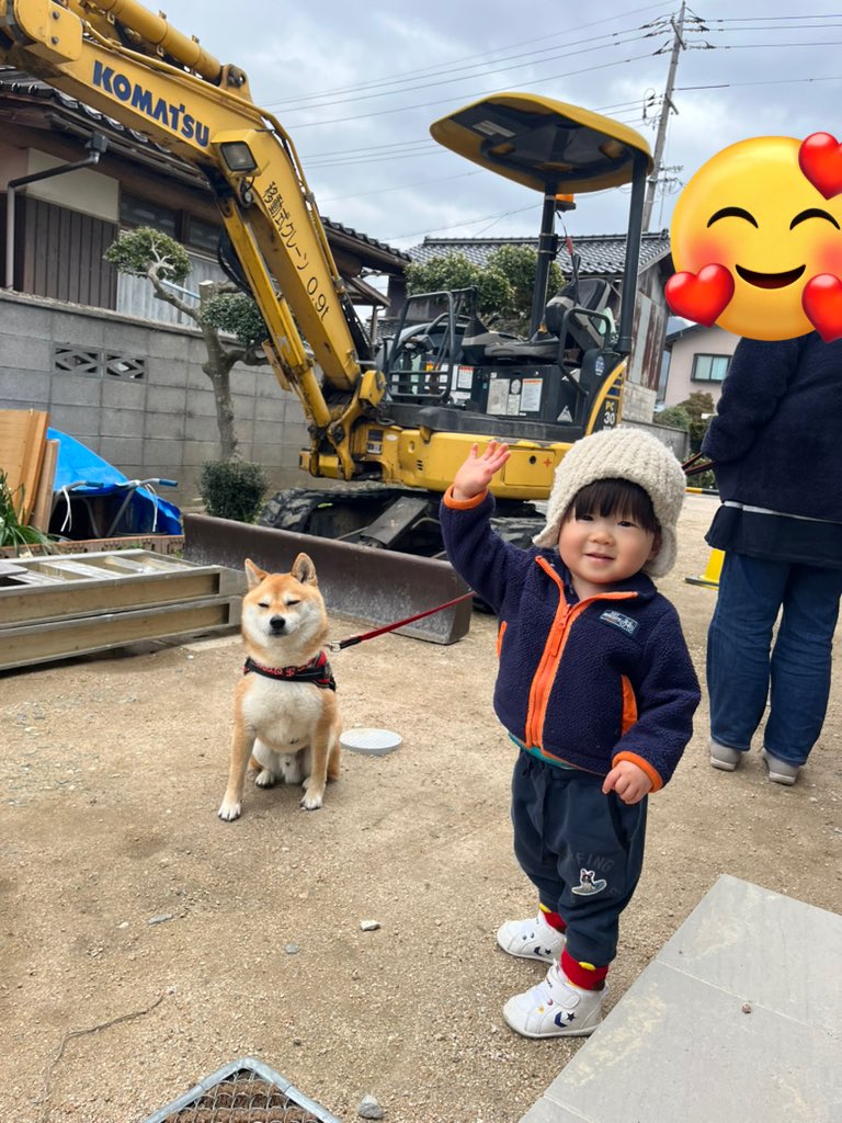 ふたえの豆太郎 (@siba_mametaro) / Posts / X