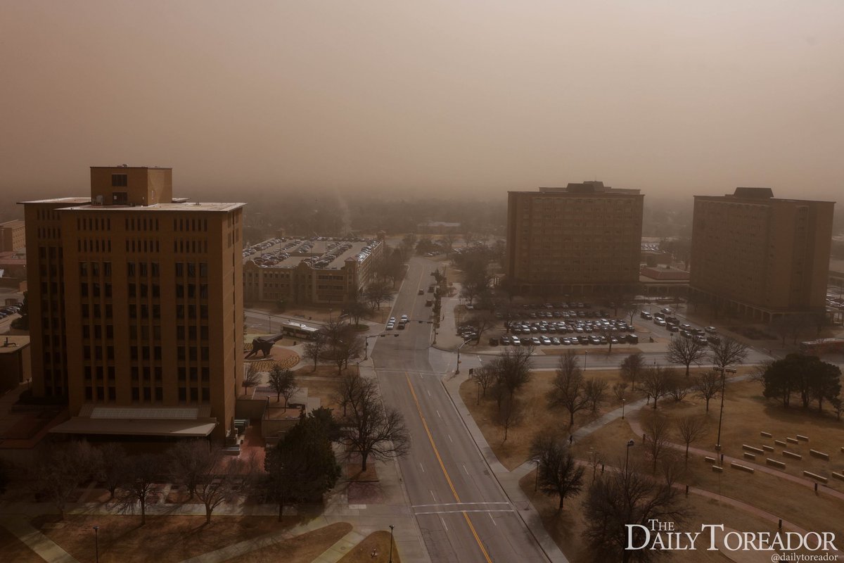 The Daily Toreador tweet media