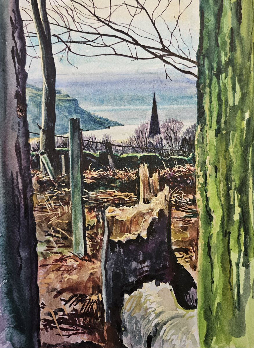 Harry Sutton tweet media