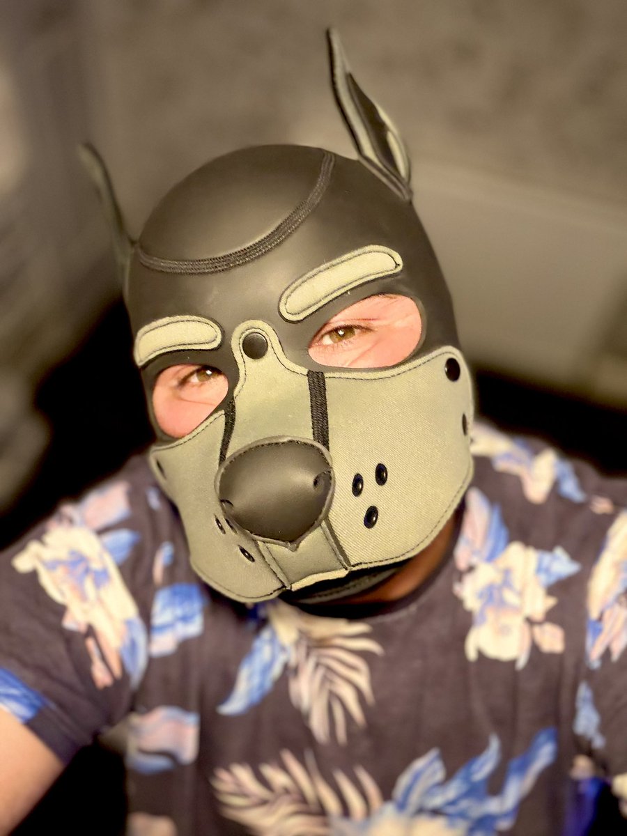 PupHugsy tweet media