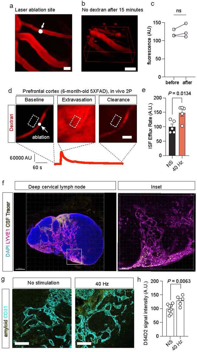 Agingdoc🩺Dr David Barzilai🔔MD PhD MS MBA DipABLM tweet media