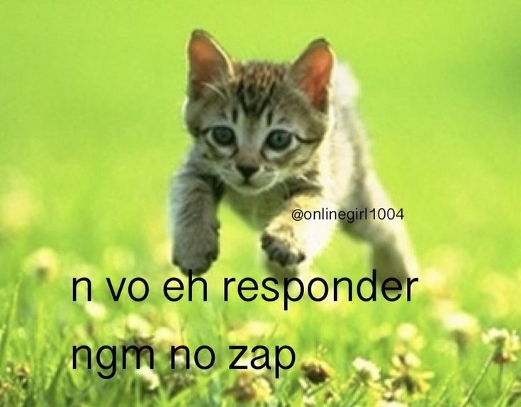 posts que eu me indentifico (@engualeukkk) on Twitter photo 