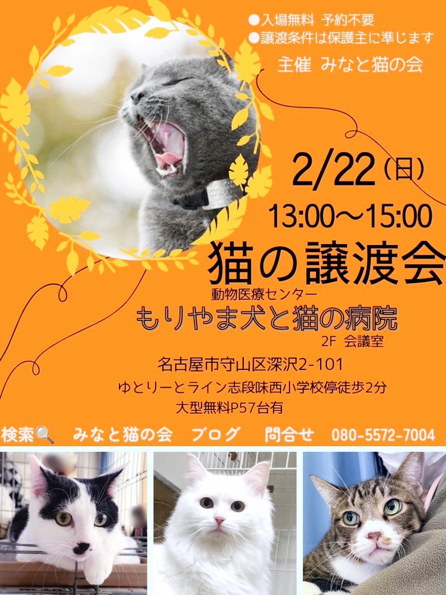 #拡散RPお願いします 
いつも猫たちのお家探しにご協力ありがとうございます

【猫の譲渡会】
•2月22日(日)13:00-15:00
•もりやま犬と猫の病院
•大型無料🅿️有

猫とふれあいながら、
ネコがいる暮らし、考えてみませんか

初めての方もお気軽にお越しください🍀

#譲渡会 #猫好きさんと繫がりたい