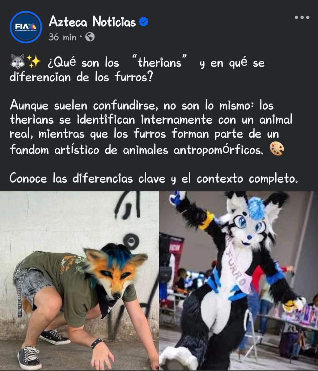 ★ Max Woxiie Lynxley ★ 🔜 ExpoFur 2026 tweet media