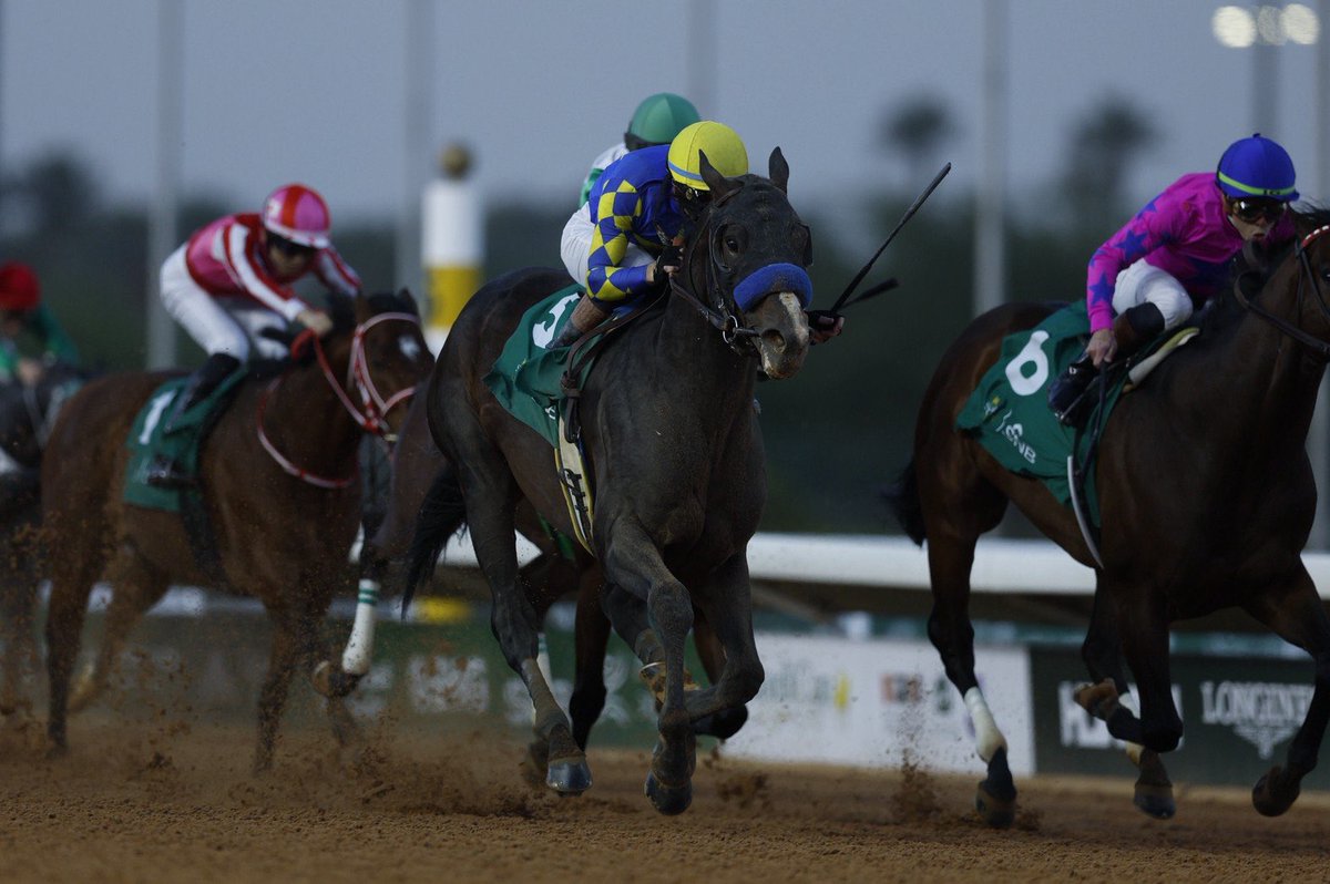 sultan | 🇰🇼 سلطان عايد الشمري tweet media