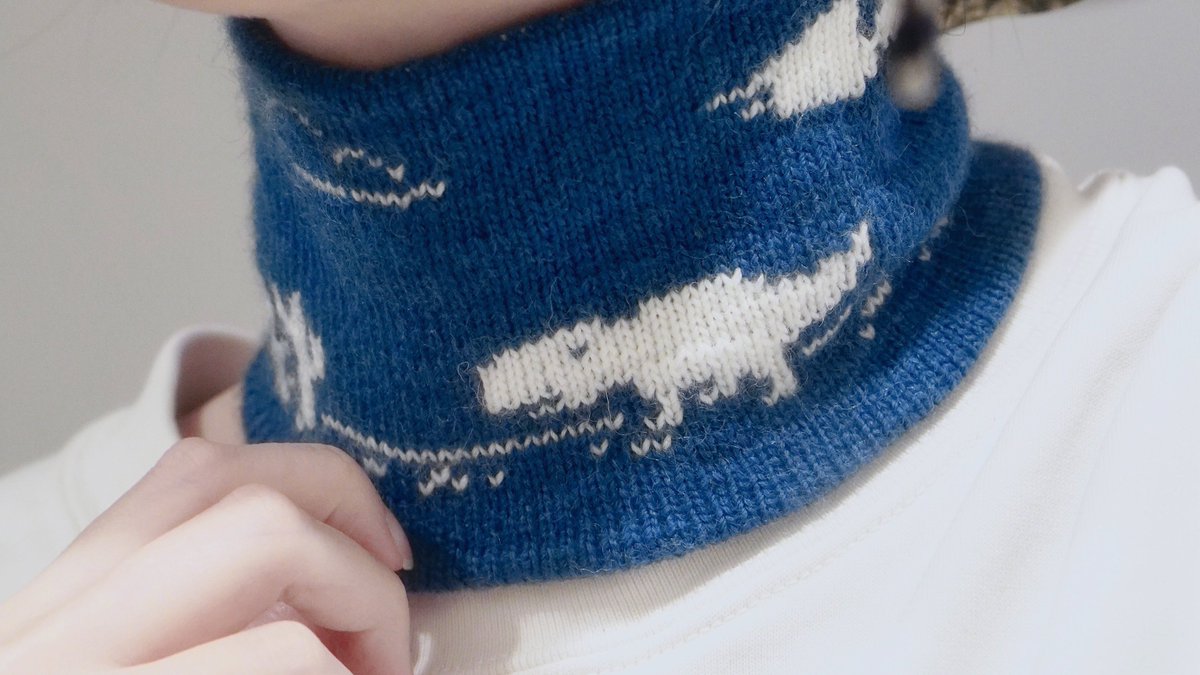 むむすけ tweet media