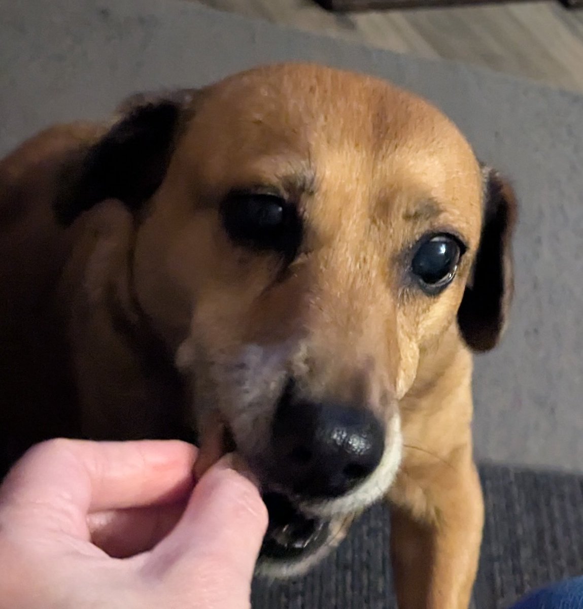 George Merchant tweet media