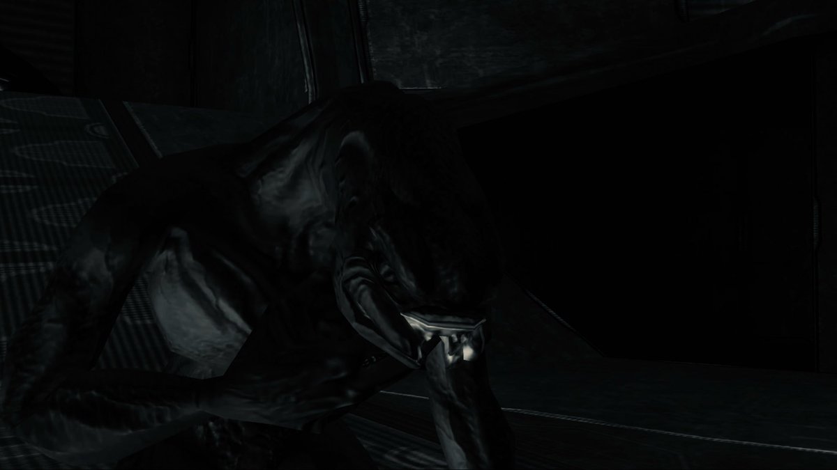 🦊Zorrodrilo🐊 Зорродрило🚩 tweet media