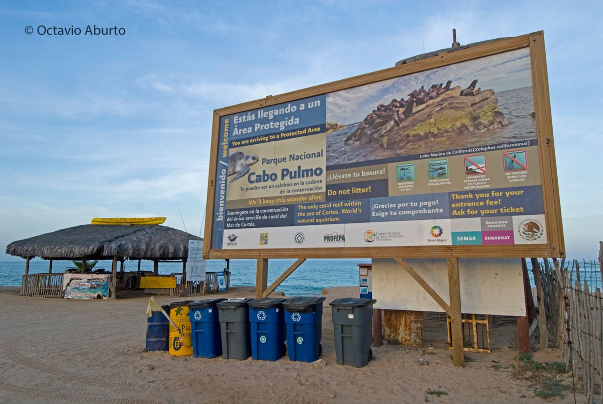 Institute of the Americas tweet media