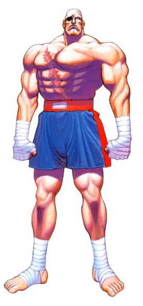 よもぎ　🍃🐏🥦 tweet media