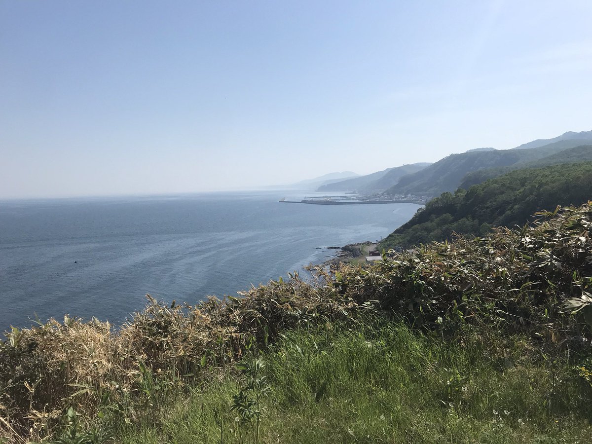 野生のシャチを見たいが船酔いが….って人はここからシャチを探す。

観光船を追いかけたら発見しやすい。シャチを観察する船をさらに観察すれば、自ずとシャチは見つかる🤣