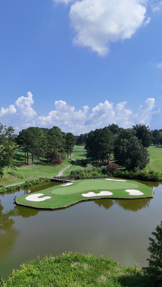 Tee Times USA tweet media