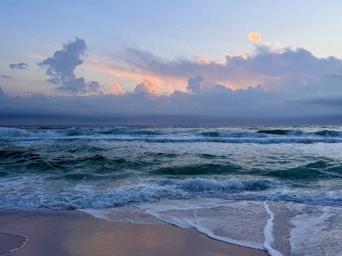 “Seas the Day” Panama City Beach tweet media