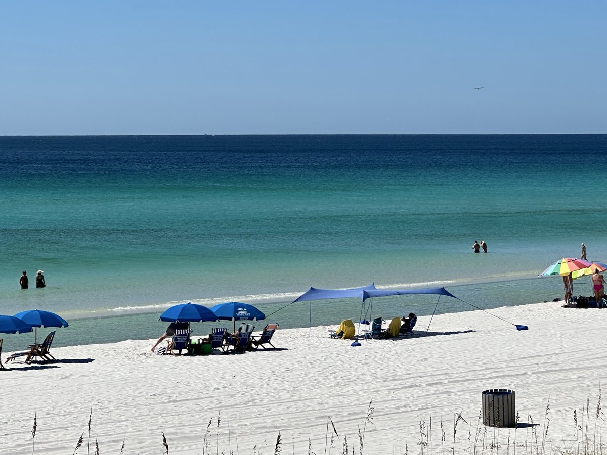 “Seas the Day” Panama City Beach tweet media