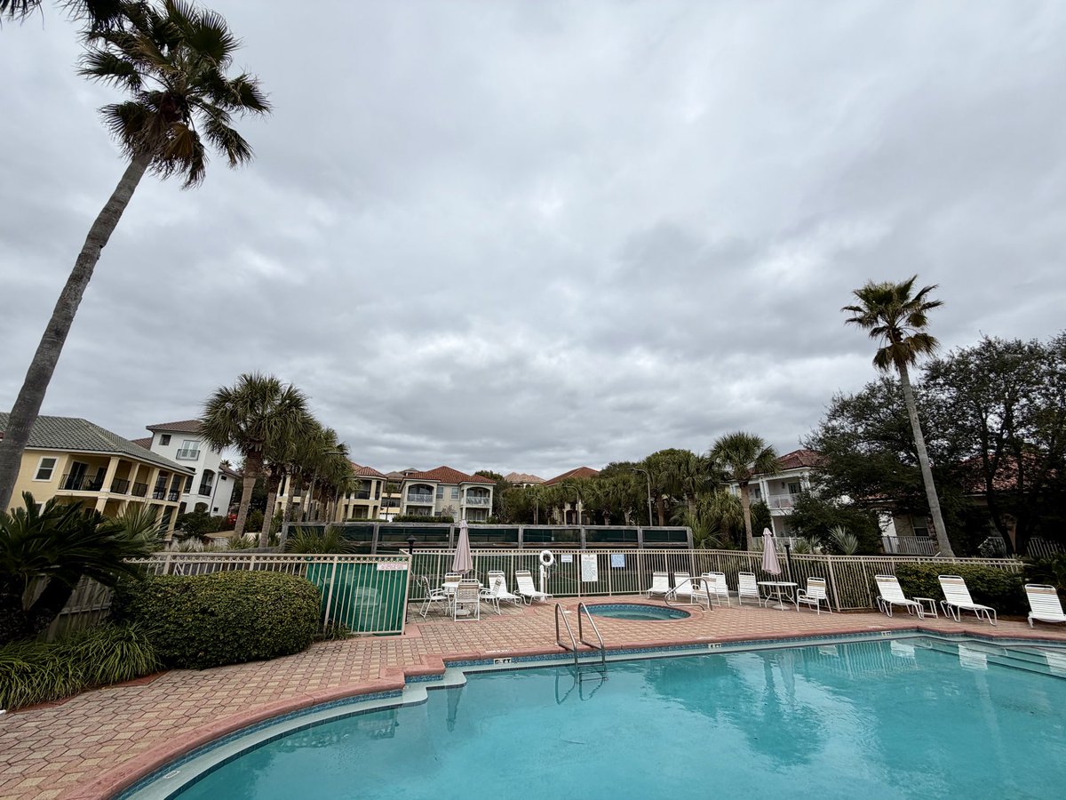 “Seas the Day” Panama City Beach tweet media